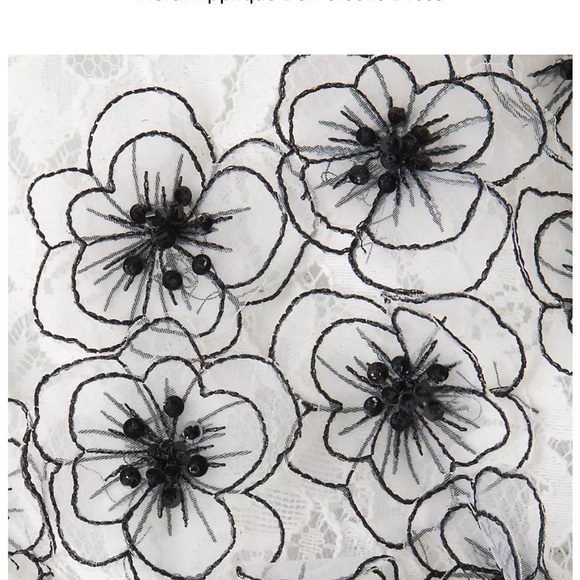 Shani size 14 cream and black lace dress fit flare with organza flowered sleeves - Picture 5 of 5